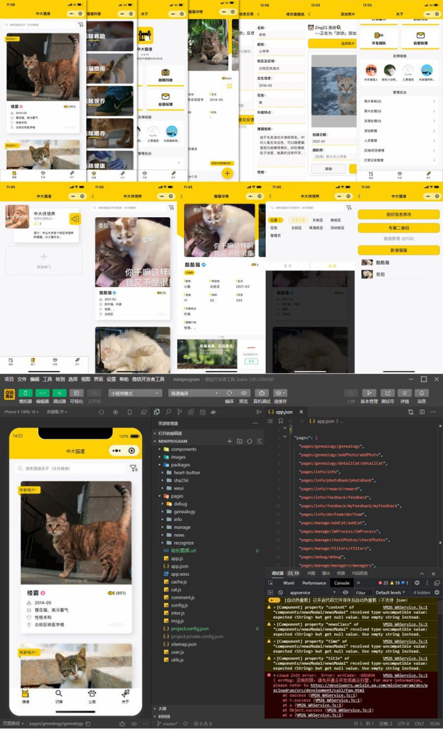 图片[1]-校园流浪猫信息记录和分享的小程序源码/微信云开发中大猫谱小程序源码-YISHEN源码商店