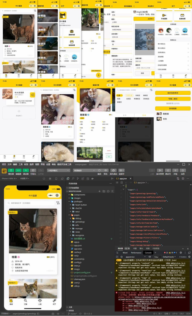 校园流浪猫信息记录和分享的小程序源码/微信云开发中大猫谱小程序源码