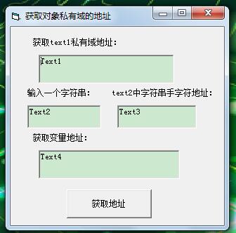 VB编程：获取对象私有域的地址-39