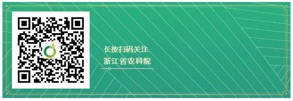 11f79e3a922e878b209a3bee3f11b5f1.png