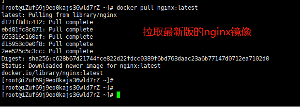 13.拉取nginx最新的镜像.png