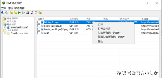 Internet Download Manager2023下载器Win系统经典下载工具