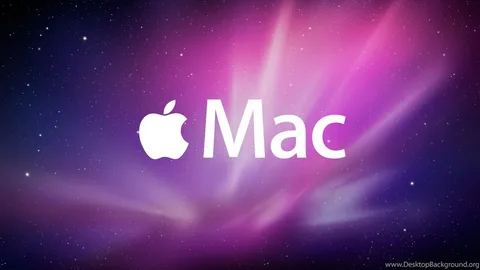 探索mac操作系统高效工作与创造的伙伴
