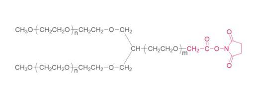 Y型结构，Y-shape PEG SCM，Y型聚乙二醇琥珀酰亚胺乙酸酯，具有独特的空间结构