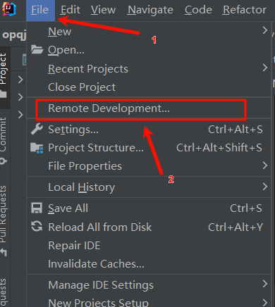 Idea配置远程开发