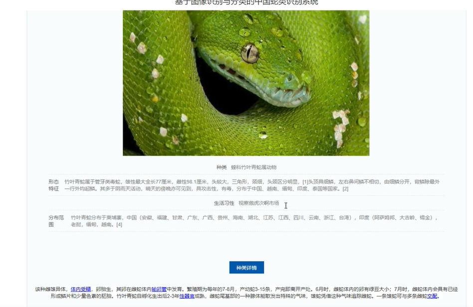image-20241113100516923