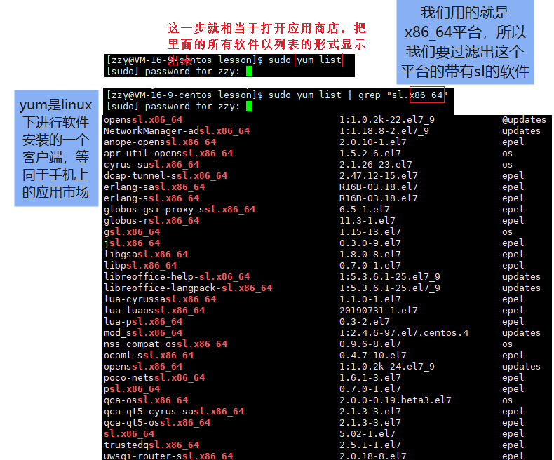 image-20220207141828487