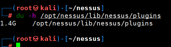 Nessus商业化漏扫器高级应用及实操_扫描_29