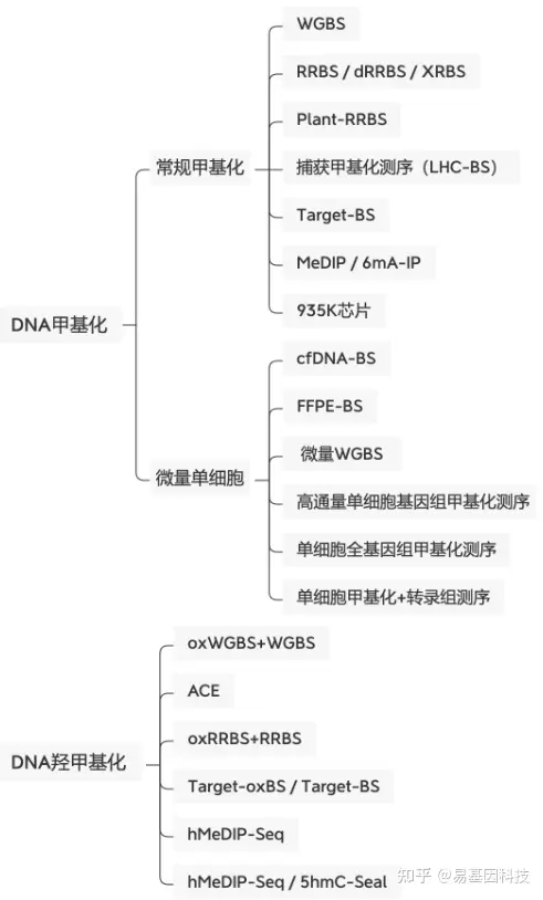 易基因：WGBS等揭示植物基因体动态DNA甲基化与基因表达可塑性相关｜Genome Biol