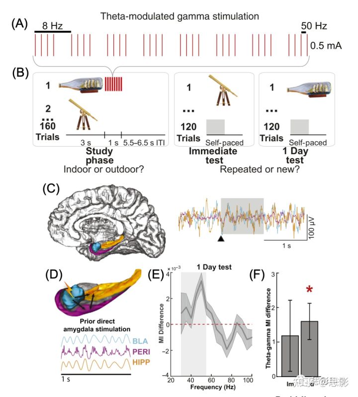 Trends in Neurosciences：通过脑振荡的夹带调节人类记忆