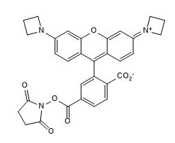 JaneliaFluor549,SE，JF 549, NHS，1811539-32-8黄色荧光染料