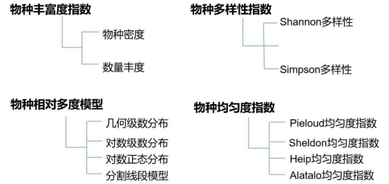 流程及要求2,利用r語言分析計算生物多樣性:α,β,γ多樣性指數計算