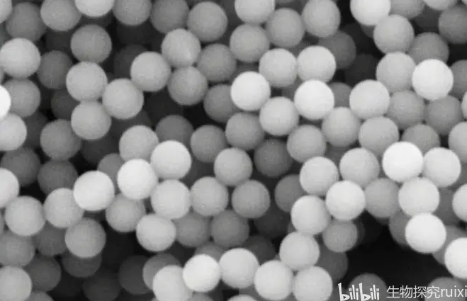 中空巯基纳米二氧化硅微球SiO2-SH/氨基功能化SiO2包覆Fe3O4磁性纳米微球的制备_二氧化硅包埋最简单三个步骤-CSDN博客
