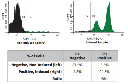 Caspase-1活性分析：艾美捷FAM-FLICA试剂盒解决方案