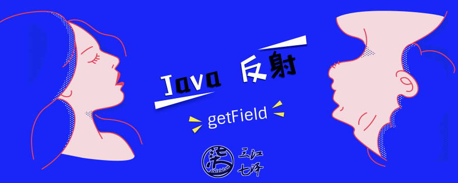java getfield_Java 反射：通过 getField() 设置公共全局变量