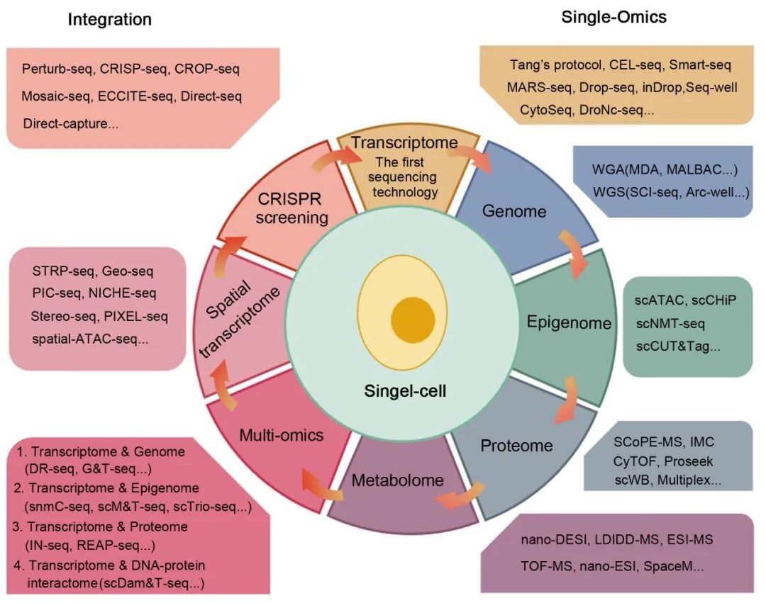 如何学习数据分析技能 13c1a17cfab05de455e5ef51701e23e3.jpeg