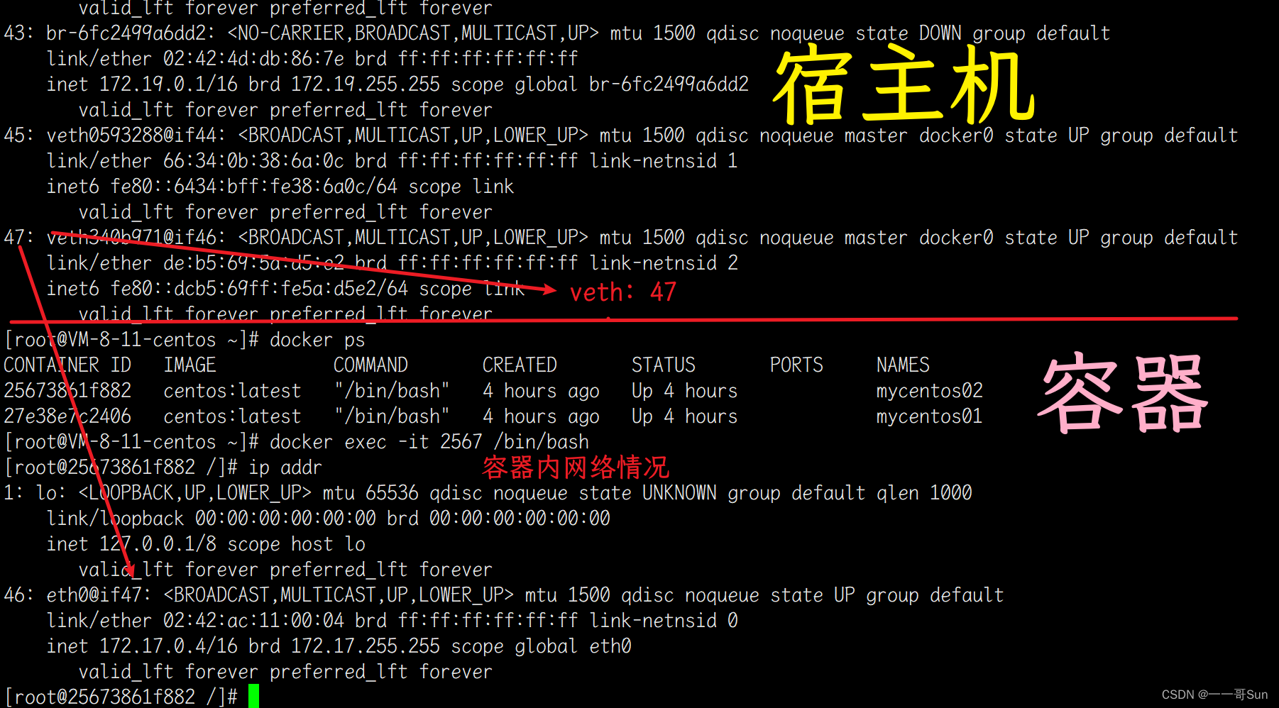 如何配置Docker网络的Bridge模式？看这里