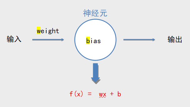 神经元