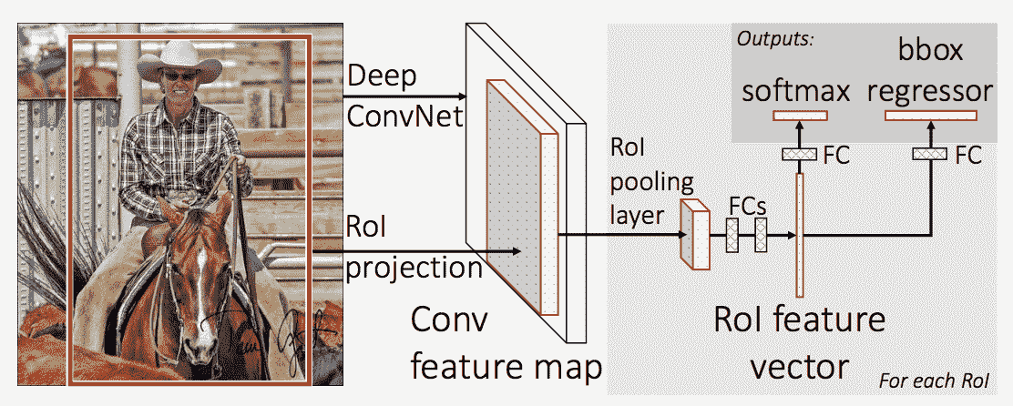 Summary of the Fast R-CNN Model Architecture