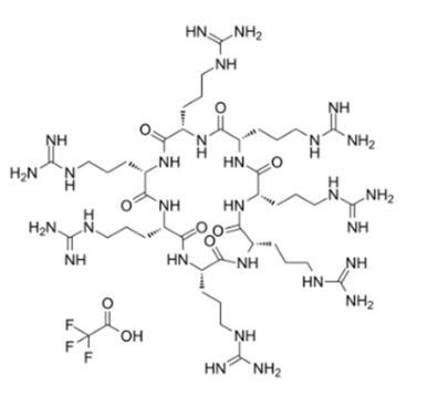 Cyclo(RRRRRRR) ， NP213 TFA，多肽合成，碱性侧链氨基酸