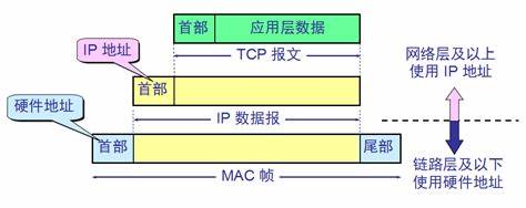 查看源图像