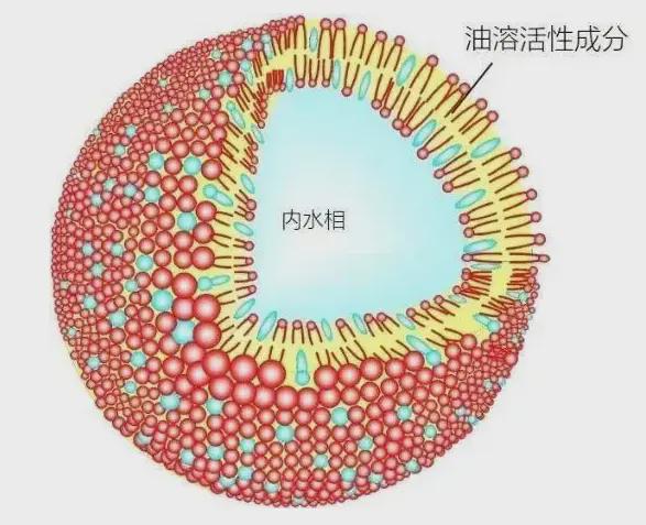 复方一枝蒿复合磷脂/IgG二性霉素B/阿糖胞苷修饰载甲氨喋呤/酶促合成半乳糖配体脂质体制备