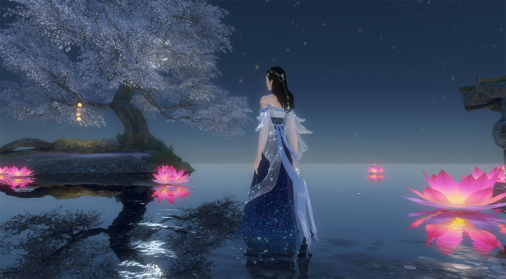 145765b3c4f54056f33d5db98fef896e.png