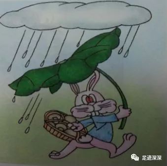 4《荷叶伞》是一幅经典的看图写话,图中的小兔子举着荷叶伞,拎着一