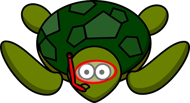 circle函数用法 turtle_python绘图——认识turtle小海龟