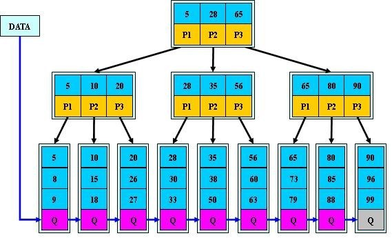 B树、B+树详解