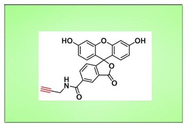一种高选择性和灵敏的荧光生物标记物，可用于标记碱性磷酸酶 (ALP)，5-FAM-Alkyne，510758-19-7，荧光生物标记物