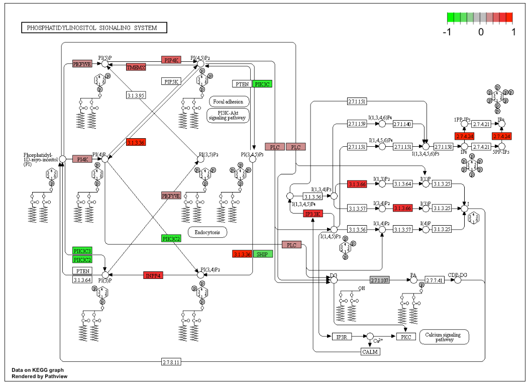 RNA-seq 保姆教程：差异表达分析（二）