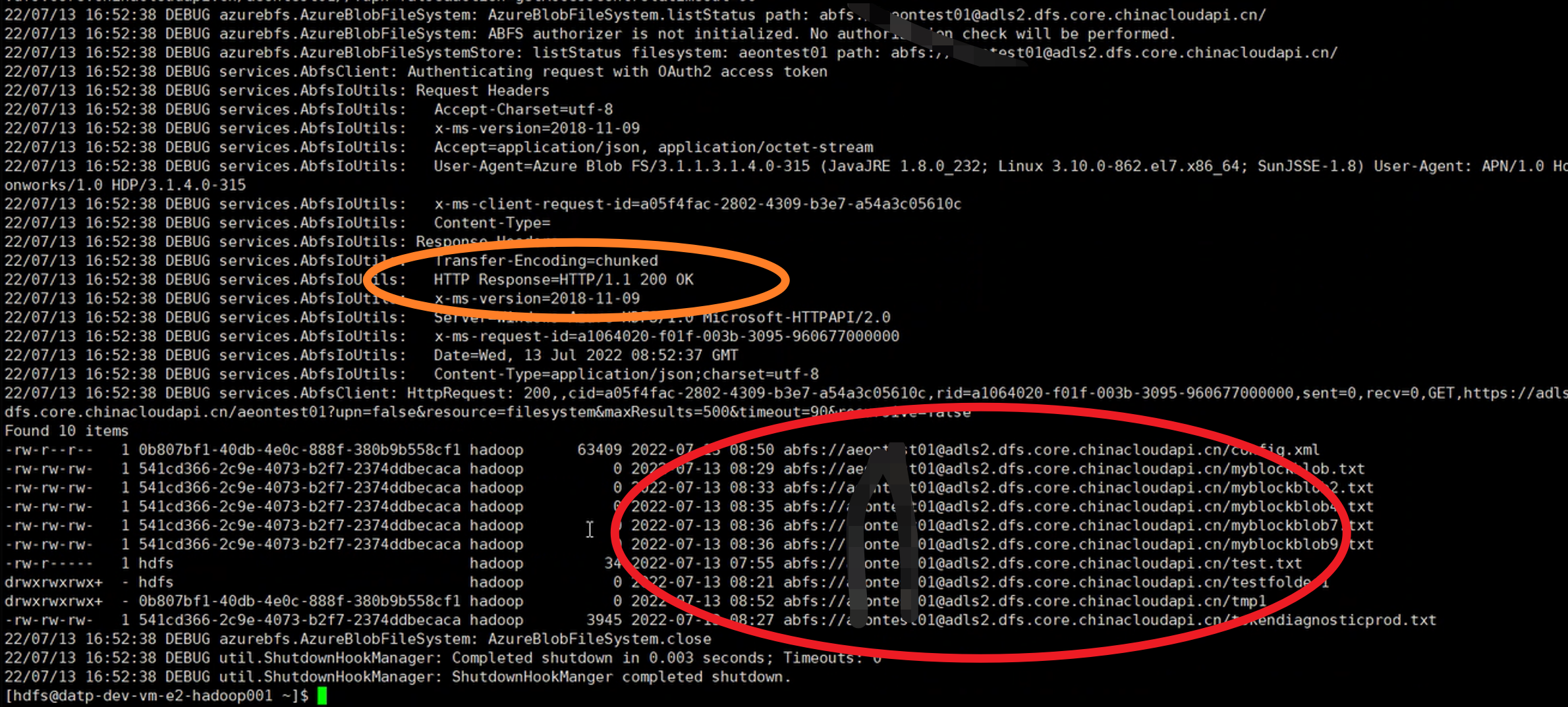 14caeef43abdad3617a09d9fe0f4468b - 【Azure 存储服务】Hadoop集群中使用ADLS(Azure Data Lake Storage)过程中遇见执行PUT操作报错