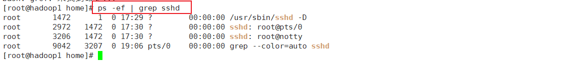 image-20210619190657050