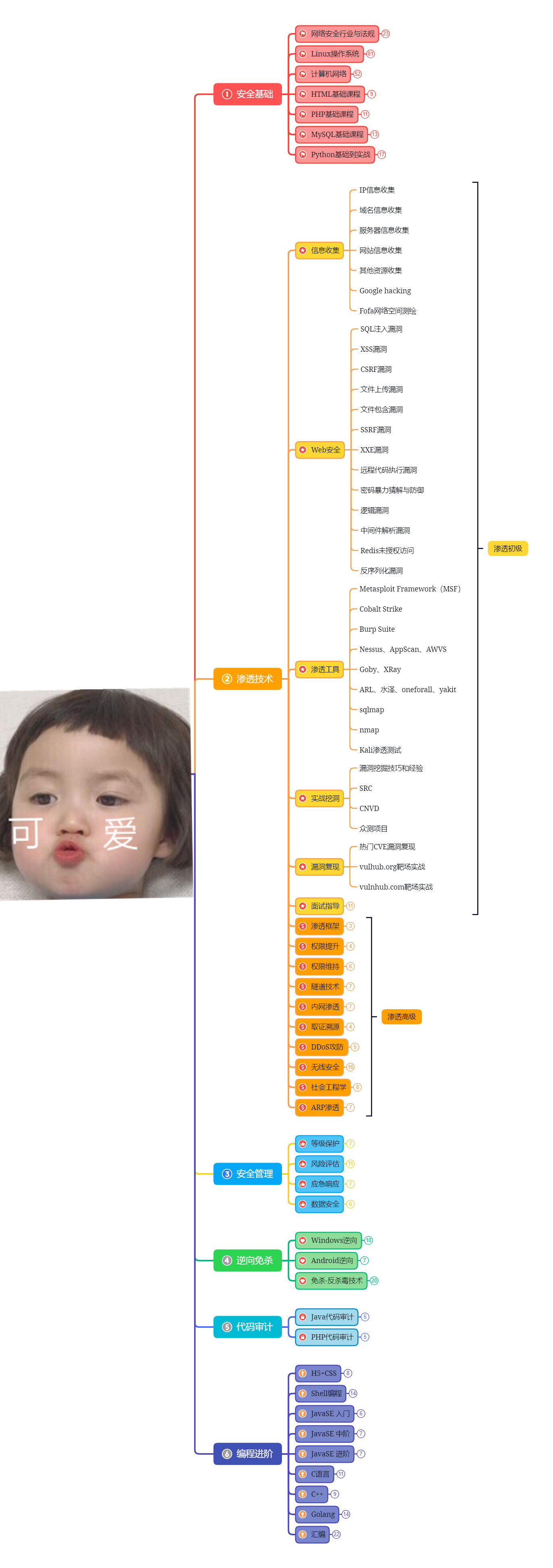 零基础自学网络安全，如何3个月快速入门？