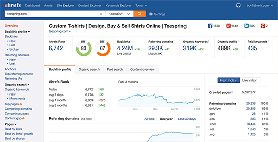 Ahrefs report overview