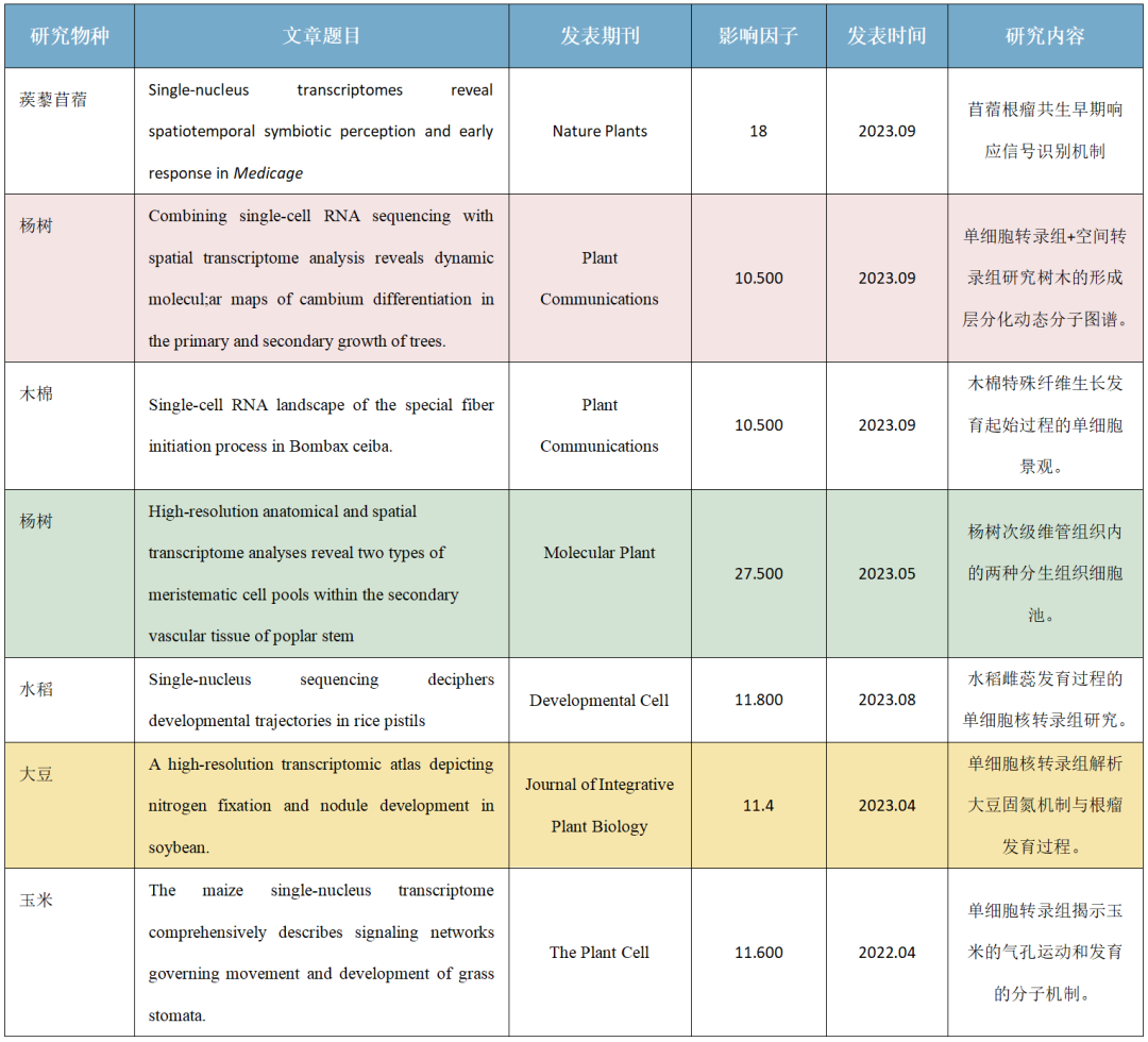 植物单细胞核转录组测序——单细胞研究高能新爆发点