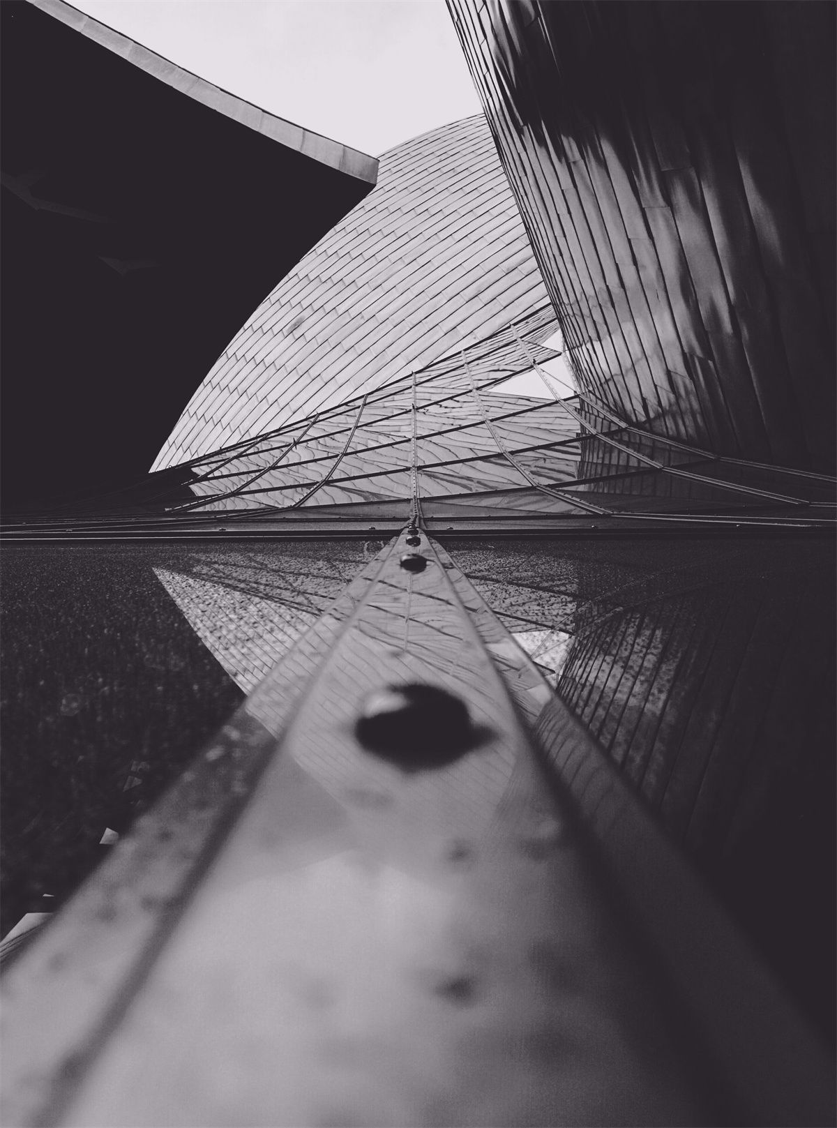153d33f65ec8c6aead2f537f2a5febc4.jpeg