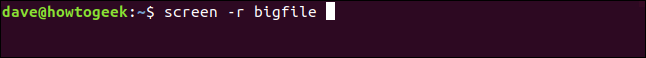 The "screen -r bigfile" command in a terminal window.