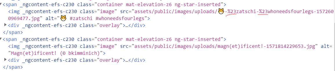 image-20210212155335908