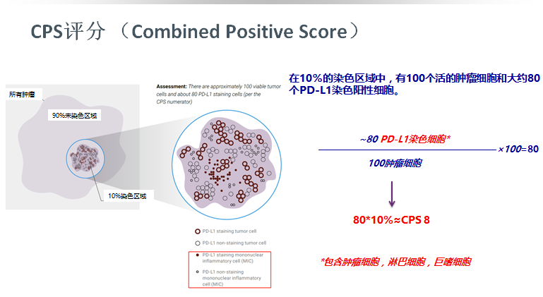 Cps评分和tps评分 Keytruda获批成首个晚期食管癌pd1疗法 Cps为判读标准 Weixin 39585761的博客 Csdn博客