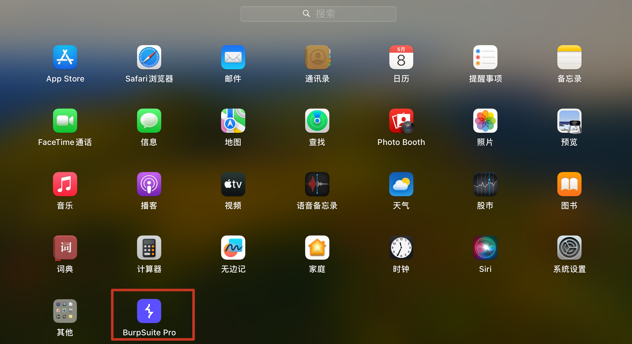 MacOS BurpSuite安装指南