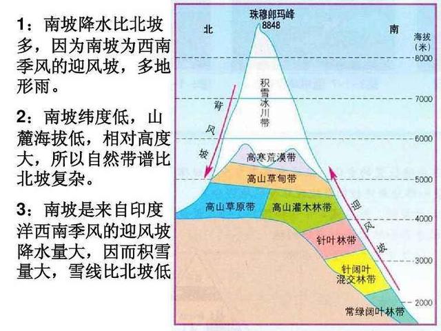 高中地理自然带图图片