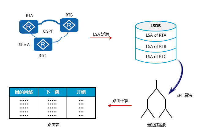 OSPF原理.png