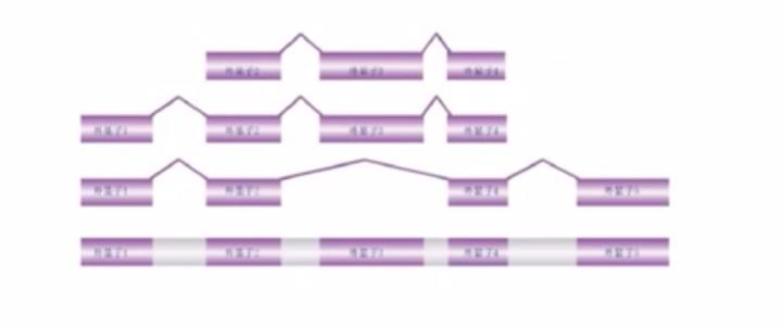 15f513831a42e6dcde22e7ffc94fca42.png