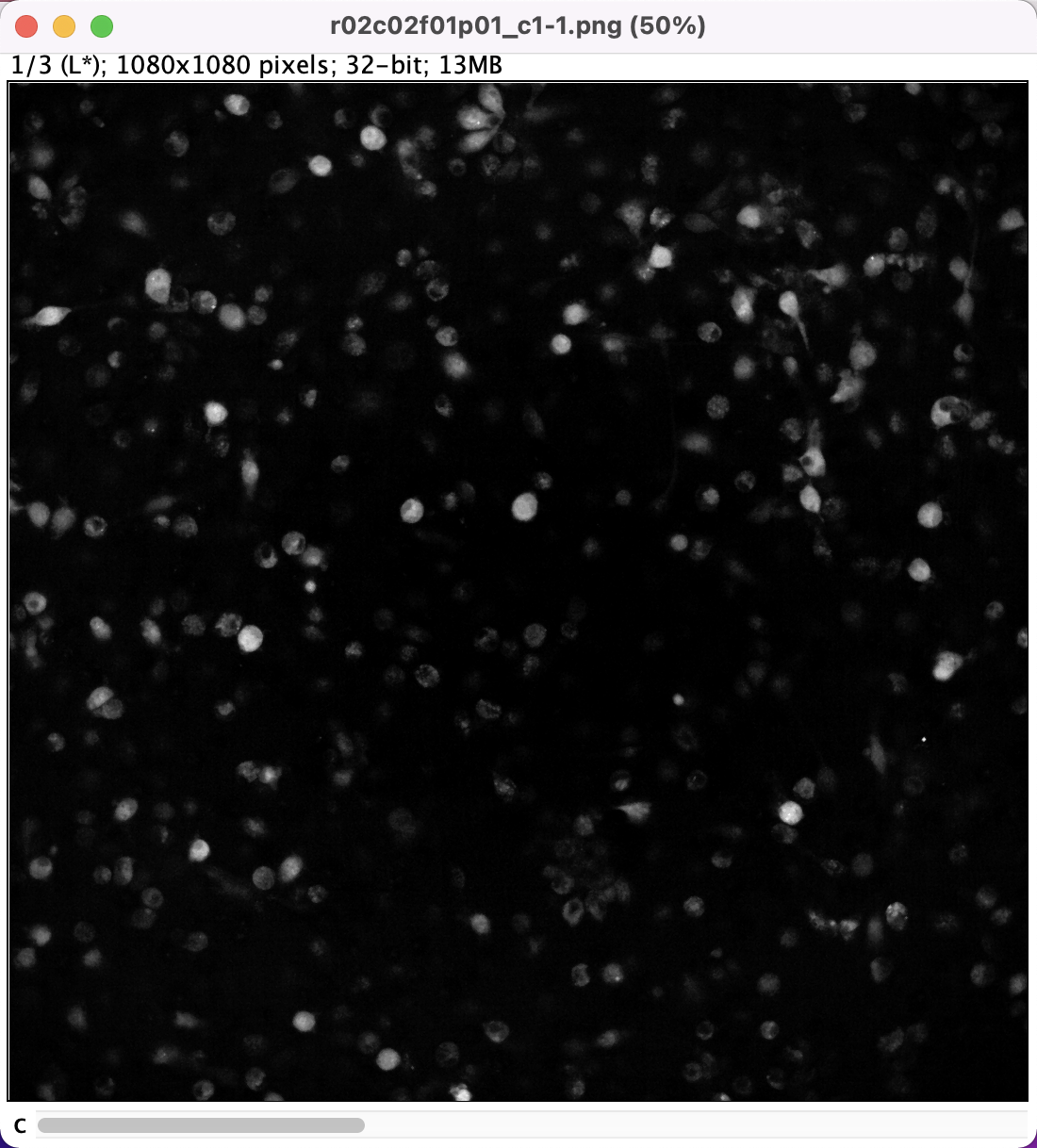 image-20220824162651767
