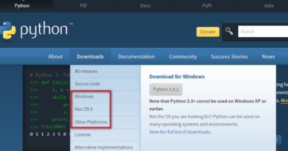 Python interpreter installation