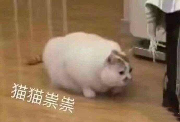 Java_抽象类和接口（一）