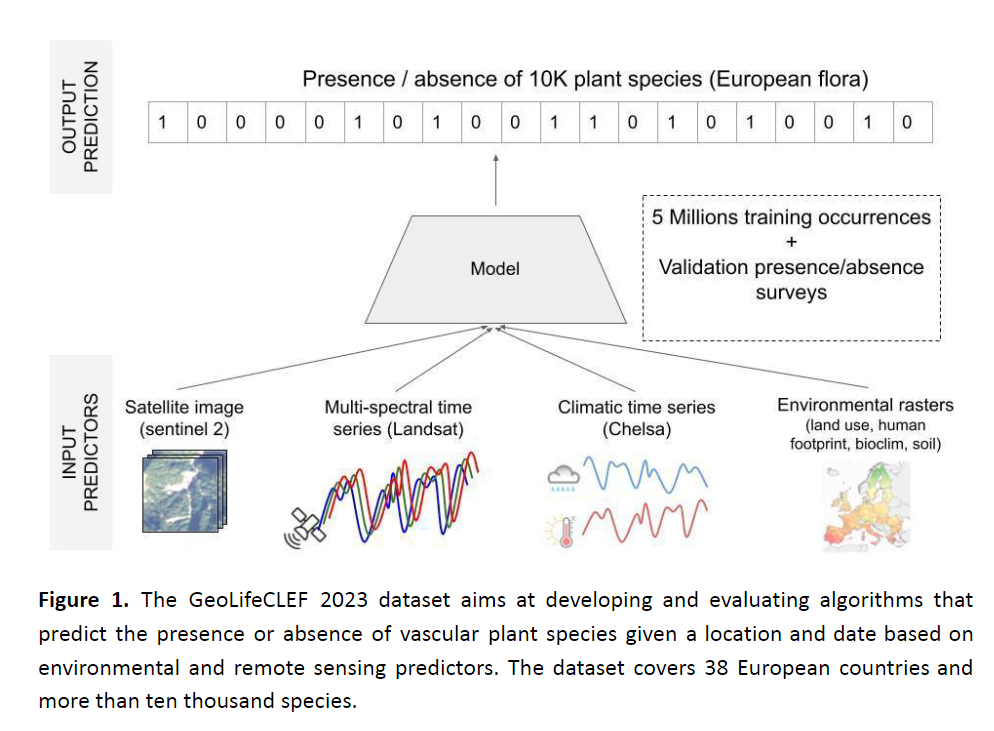 GeoLifeCLEF