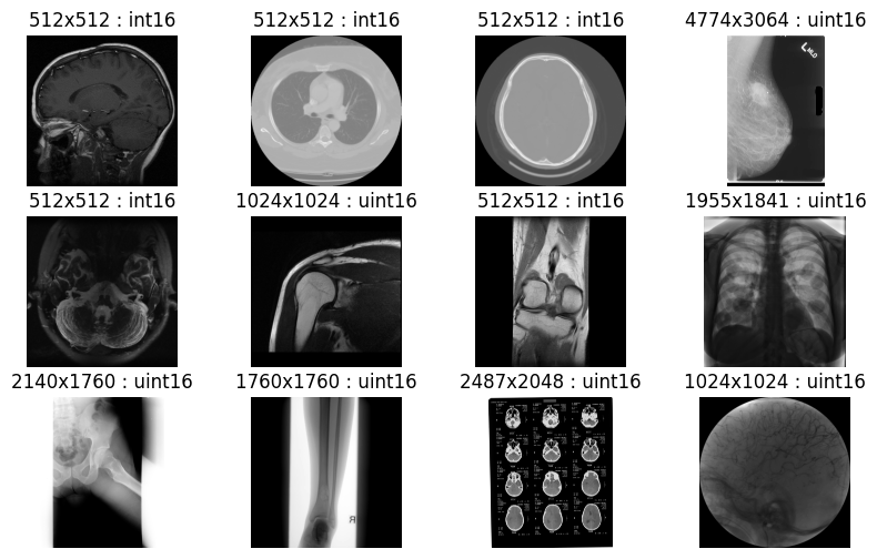 Examples of nvImageCodec batch-decoded images.